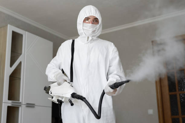 Why You Should Choose Our Mold Remediation Services in Palos Heights, IL